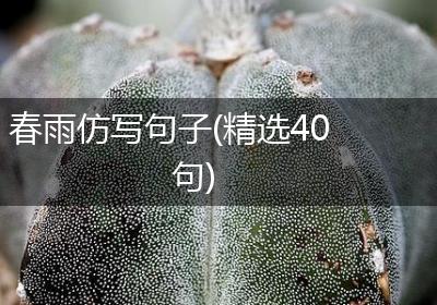 春雨仿写句子(精选40句)