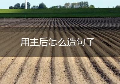 用主后怎么造句子