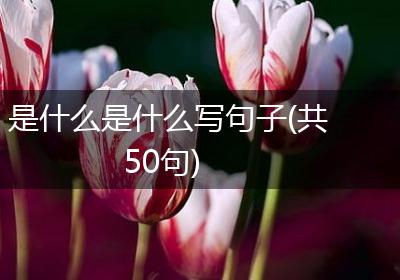 是什么是什么写句子(共50句)