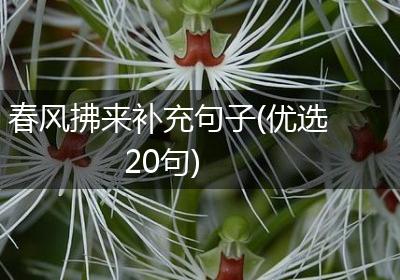 春风拂来补充句子(优选20句)