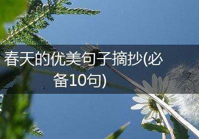 春天的优美句子摘抄(必备10句)