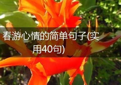 春游心情的简单句子(实用40句)