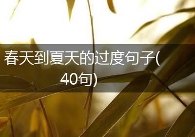 春天到夏天的过度句子(40句)