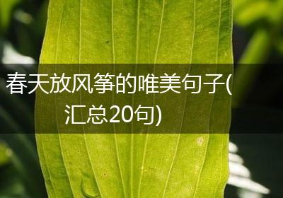 春天放风筝的唯美句子(汇总20句)