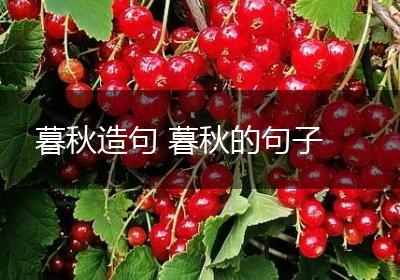 暮秋造句 暮秋的句子