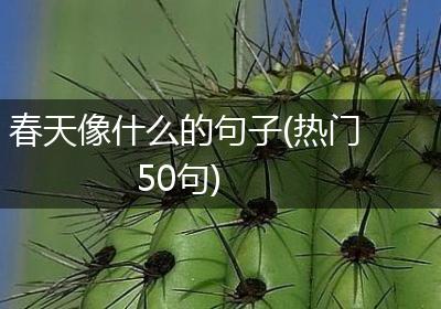 春天像什么的句子(热门50句)