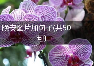 晚安图片加句子(共50句)