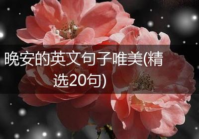 晚安的英文句子唯美(精选20句)