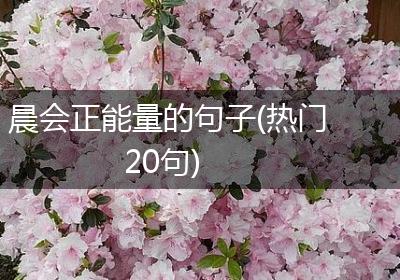 晨会正能量的句子(热门20句)
