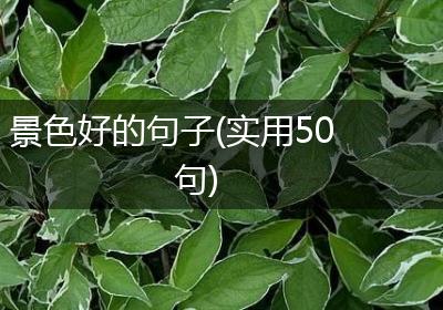 景色好的句子(实用50句)
