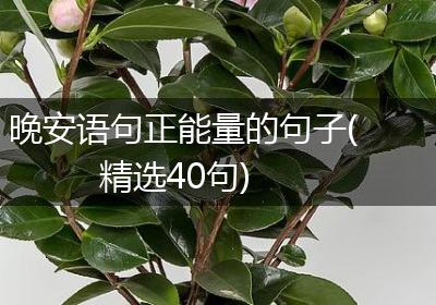晚安语句正能量的句子(精选40句)