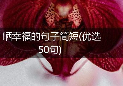晒幸福的句子简短(优选50句)