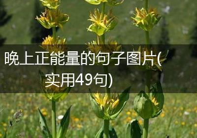 晚上正能量的句子图片(实用49句)