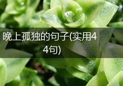 晚上孤独的句子(实用44句)