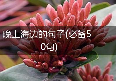 晚上海边的句子(必备50句)