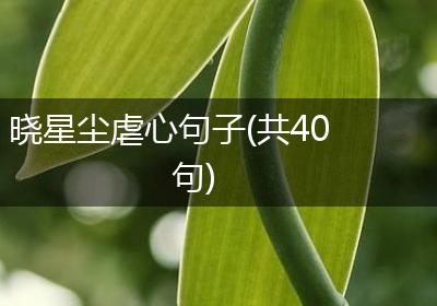 晓星尘虐心句子(共40句)
