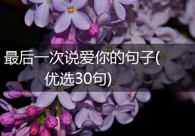 最后一次说爱你的句子(优选30句)