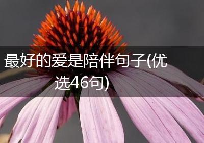 最好的爱是陪伴句子(优选46句)
