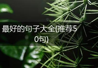 最好的句子大全(推荐50句)