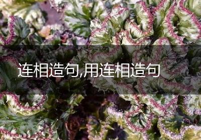连相造句,用连相造句