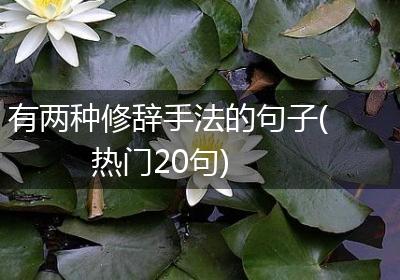 有两种修辞手法的句子(热门20句)