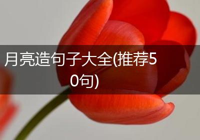 月亮造句子大全(推荐50句)