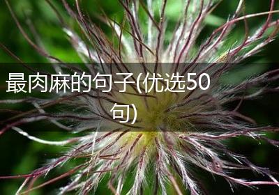 最肉麻的句子(优选50句)