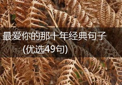 最爱你的那十年经典句子(优选49句)