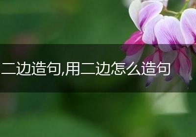 二边造句,用二边怎么造句