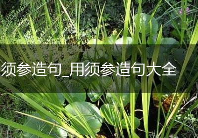 须参造句_用须参造句大全