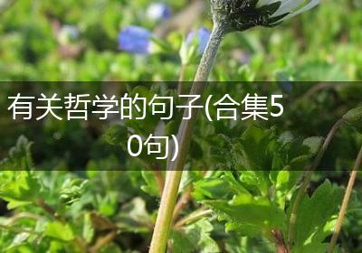 有关哲学的句子(合集50句)