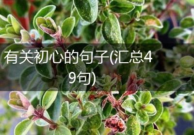 有关初心的句子(汇总49句)