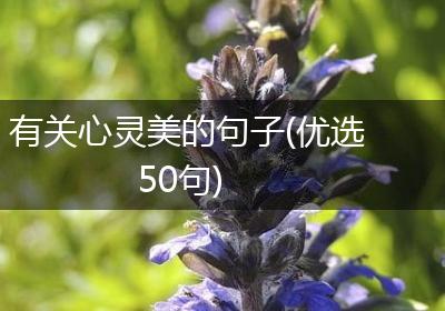 有关心灵美的句子(优选50句)