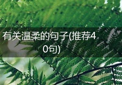 有关温柔的句子(推荐40句)