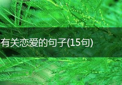 有关恋爱的句子(15句)