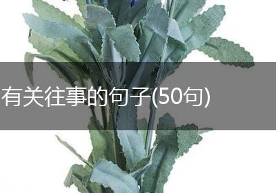 有关往事的句子(50句)