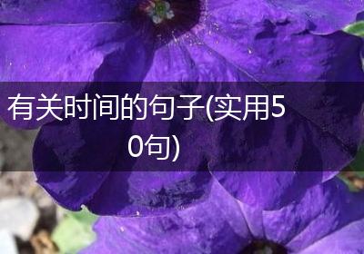 有关时间的句子(实用50句)