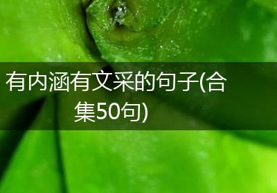 有内涵有文采的句子(合集50句)