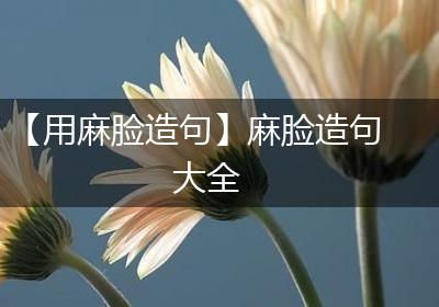 【用麻脸造句】麻脸造句大全