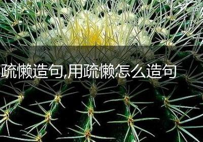 疏懒造句,用疏懒怎么造句