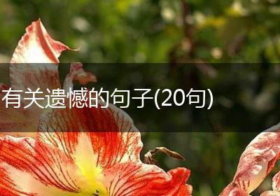 有关遗憾的句子(20句)