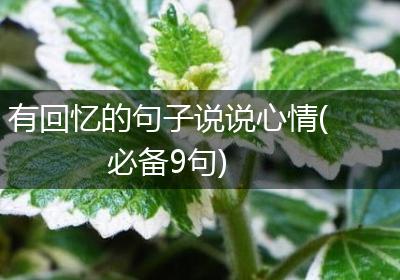 有回忆的句子说说心情(必备9句)