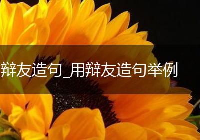 辩友造句_用辩友造句举例