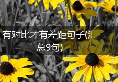 有对比才有差距句子(汇总9句)