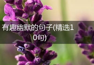 有趣幽默的句子(精选10句)