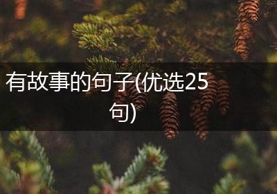 有故事的句子(优选25句)