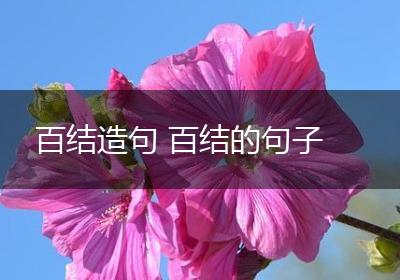 百结造句 百结的句子