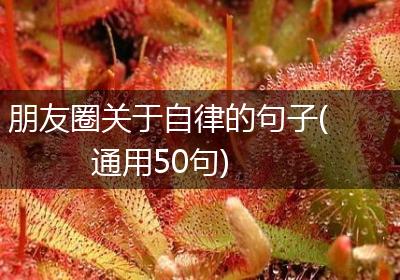 朋友圈关于自律的句子(通用50句)