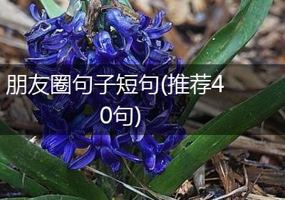 朋友圈句子短句(推荐40句)