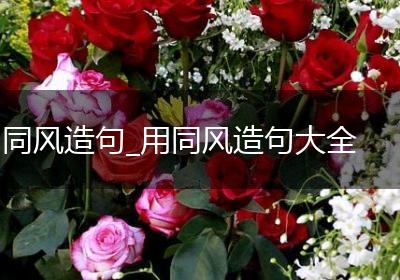 同风造句_用同风造句大全